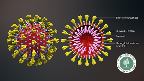 Do you know WHO has declared the new coronavirus outbreak