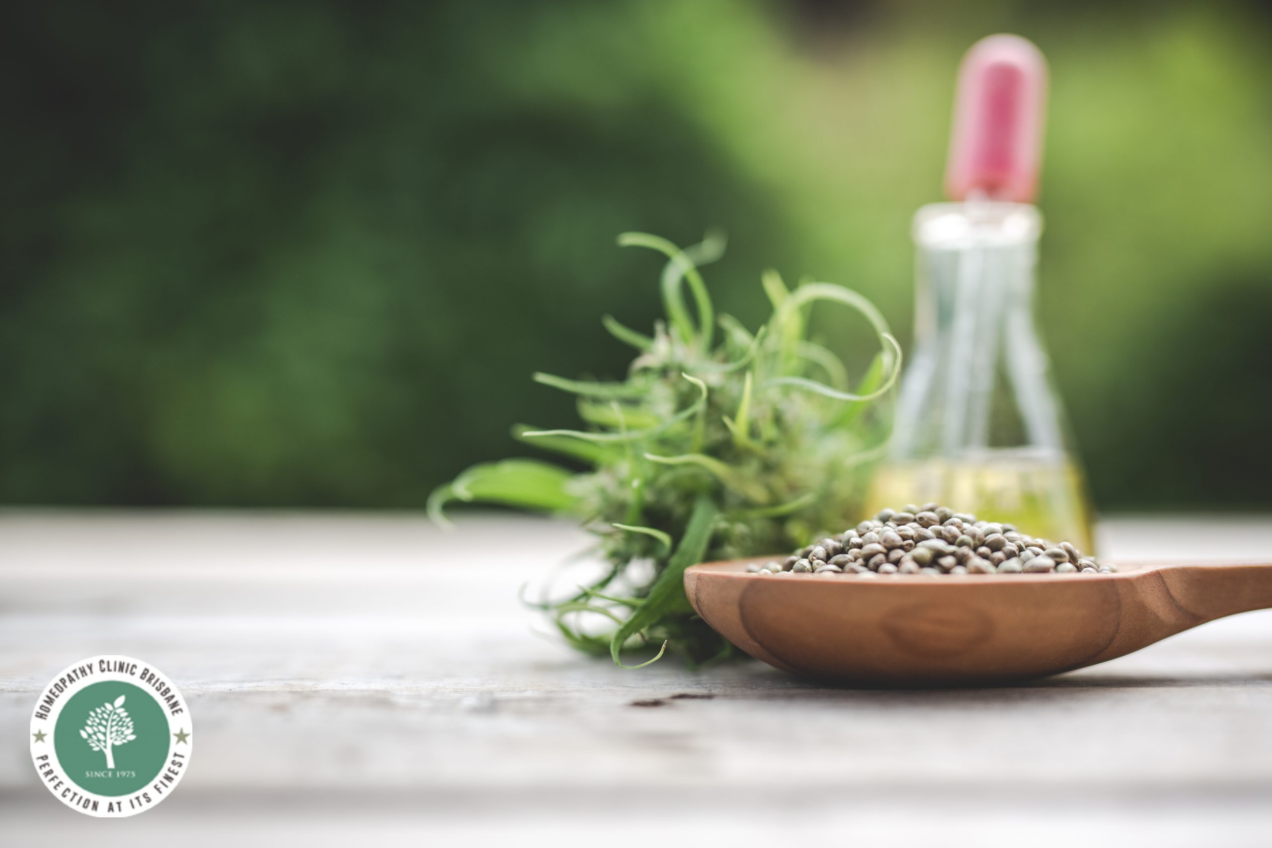 Understanding the Differences: Homeopathy vs. Herbal Medicine